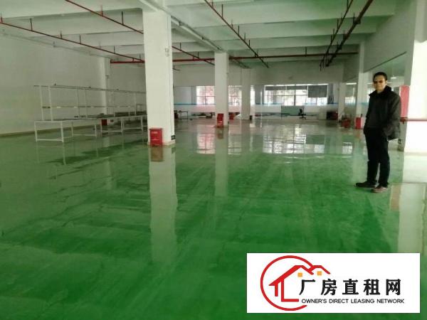 
龙岗宝龙工业区原房东红本厂房出租