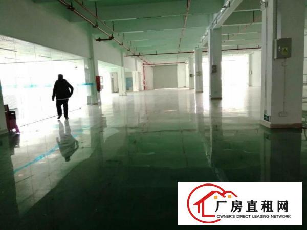 
龙岗宝龙工业区原房东红本厂房出租