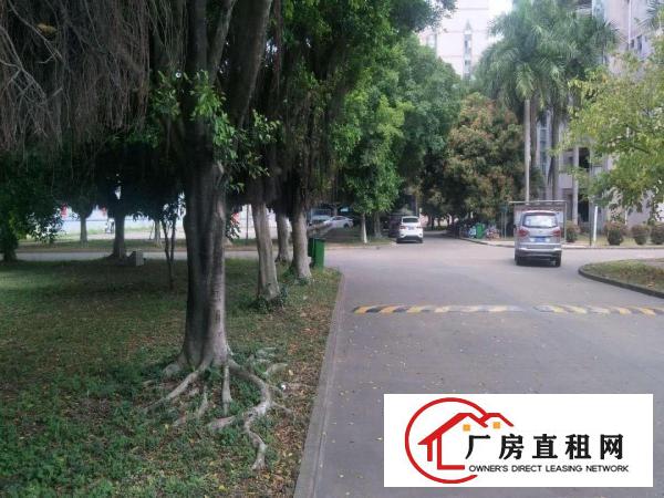 
（出租）龙岗北通道边上二三楼1000平米厂房分租