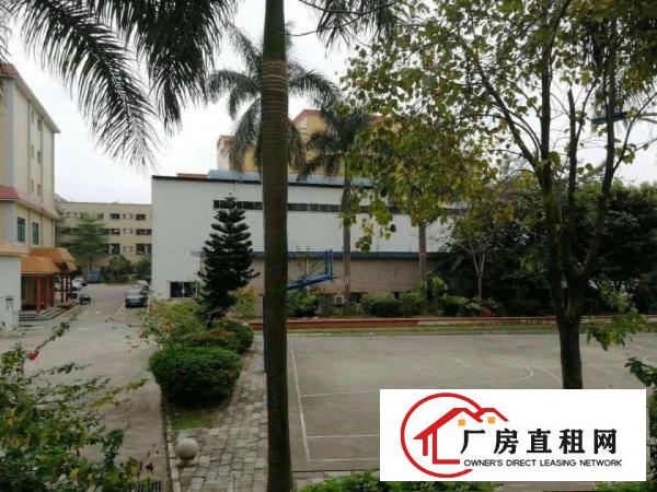 
龙岗一手房源十米高3600平米单一层钢结构厂房招租
