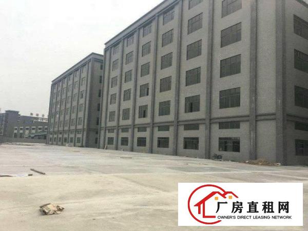 
龙岗宝龙新出带红本12000独院厂房带装修出租