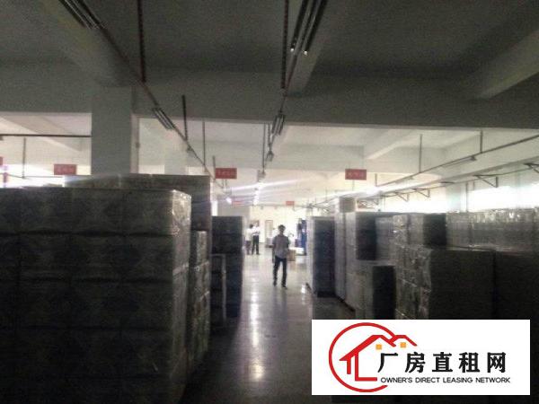 
龙岗南联爱南路新出独院一楼500平出租高5米