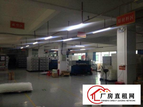 
龙岗南联爱南路新出独院一楼500平出租高5米