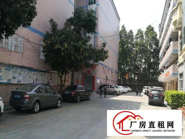 
龙岗南联地铁站旁一楼300平带装修厂房出租