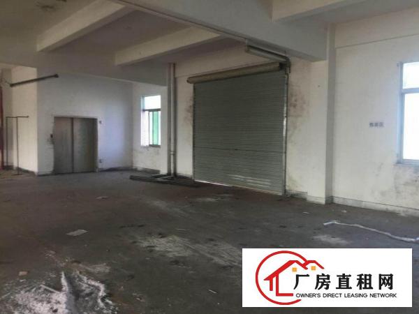 
深圳龙岗新生新出楼上厂房