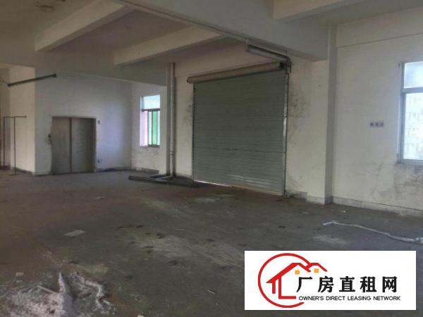 
深圳龙岗新生新出楼上厂房