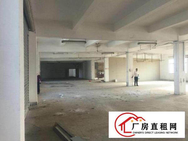
深圳龙岗新生新出楼上厂房