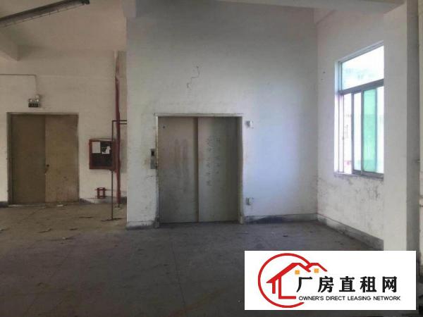 
深圳龙岗新生新出楼上厂房