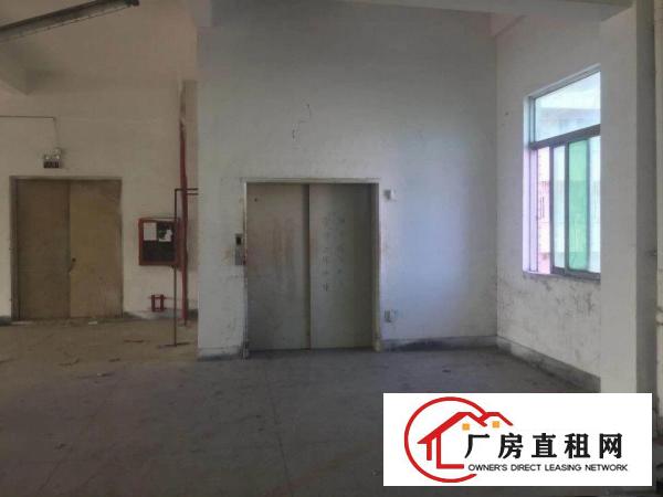 
深圳龙岗新生新出楼上厂房