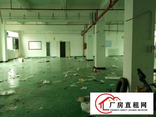 
龙岗爱联地铁站1公里新出楼上1300平精装修出租
