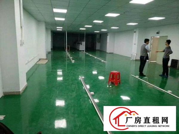 
龙岗同乐新出原房东精装修1200平出租租12元