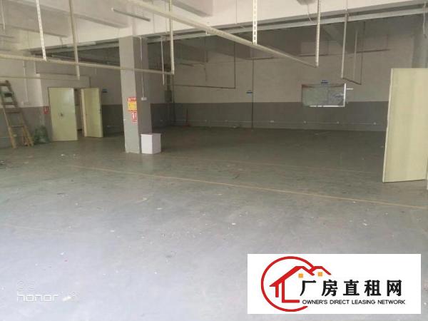 
龙岗同乐楼上1400平有地坪漆电梯厂房可分租