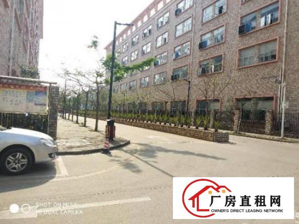 
龙岗标准厂房一楼3300平高6.5米带牛角