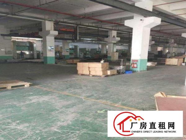 
龙岗标准厂房一楼3300平高6.5米带牛角