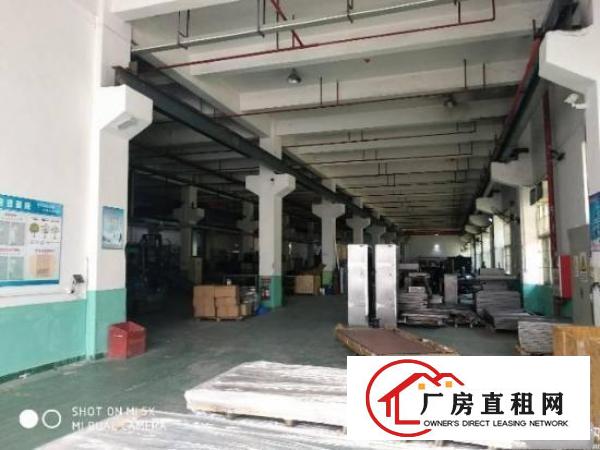 
龙岗标准厂房一楼3300平高6.5米带牛角