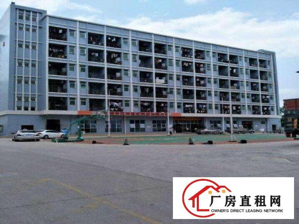 
龙岗地铁口办公厂房200平300平米500平方出租