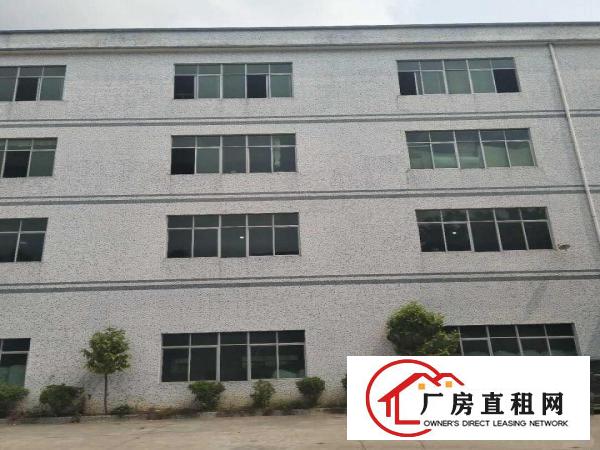 
出租龙岗区横岗独院厂房--业主直租