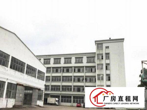 
横岗茂兴路独院厂房3000平空地大