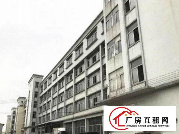 
横岗茂兴路独院厂房3000平空地大