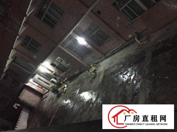 
横岗茂兴路25号厂房实量150至300平米