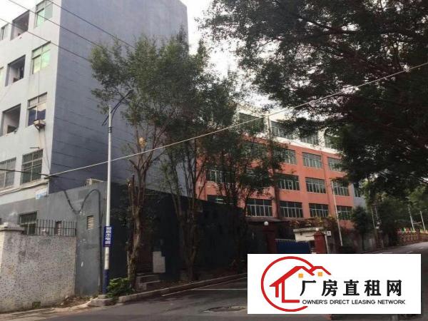
横岗高速路出口1公里，地铁近厂房10000平米