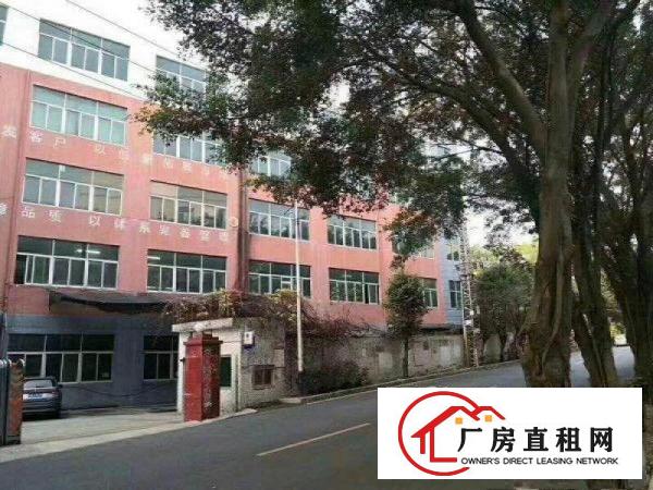 
横岗高速路出口1公里，地铁近厂房10000平米
