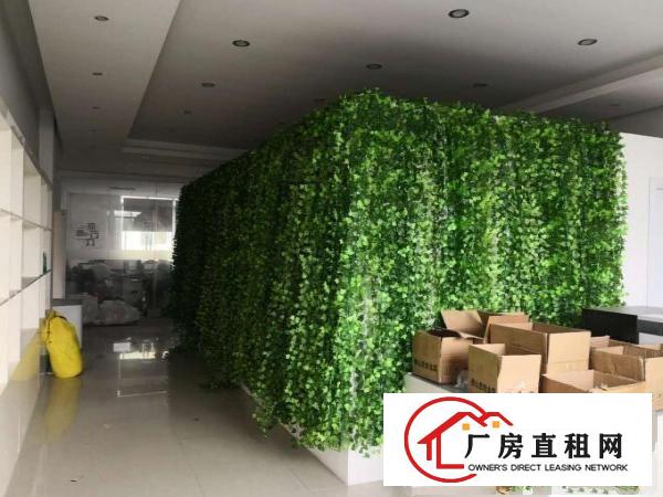 
出租丹竹头地铁站精装修600平适合做电商