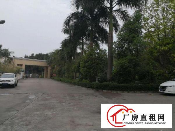 
出租丹竹头地铁站精装修600平适合做电商