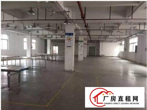 
横岗华乐路500平方标准厂房一楼招租先到先得