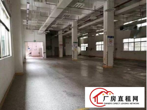 
横岗华乐路500平方标准厂房一楼招租先到先得