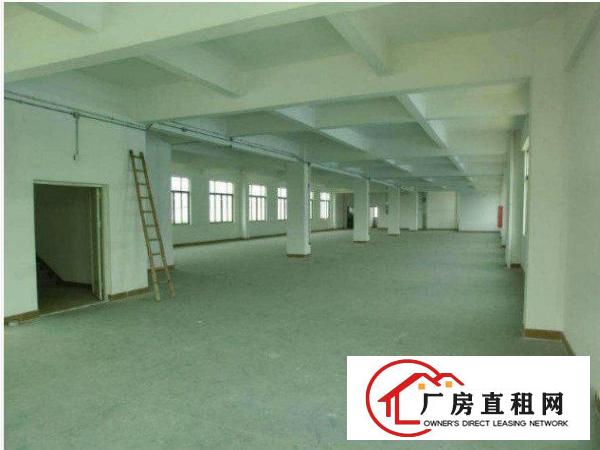 
横岗189工业园新出二楼标准厂房1800平方可分租