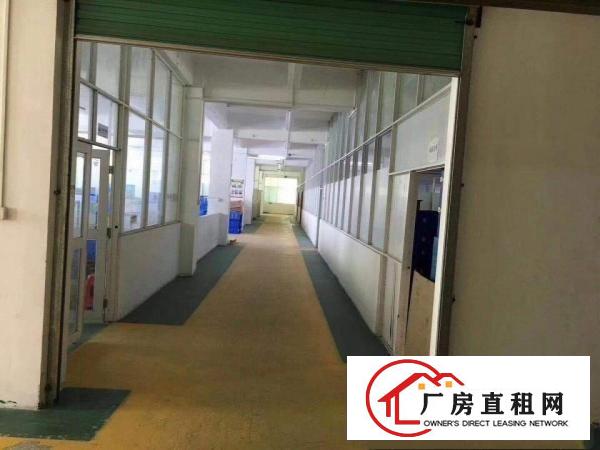 
万骏隆旁800平方精装修3楼带电梯中介勿扰