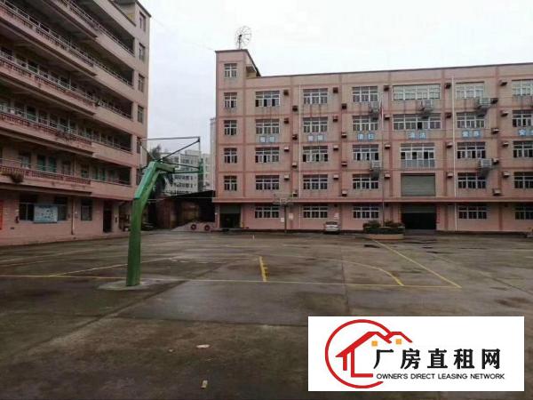 
横岗六约1000平方厂房出租
