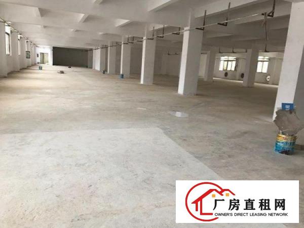 
横岗西坑梧岗路边新出精装独院厂房2950平米招租
