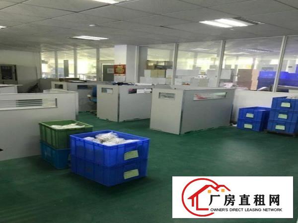 
横岗西坑梧岗路边新出精装独院厂房2950平米招租