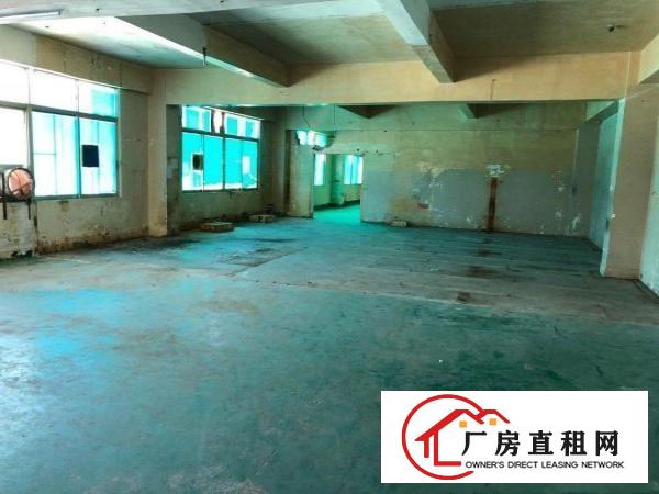 
横岗六约地铁附近独立1200厂房1200平米