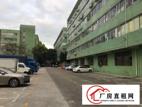 
原房东花园式厂房1800平带装修办公室出租
