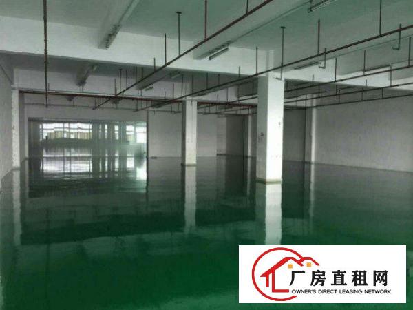 
横岗茂兴路标准一楼700平米招租带精装修地坪漆