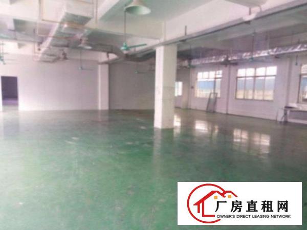 
横岗塘坑地铁站附近标准厂房一楼800平出租交通方便形象好