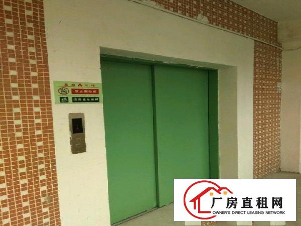 
横岗大康带电梯厂房仓库