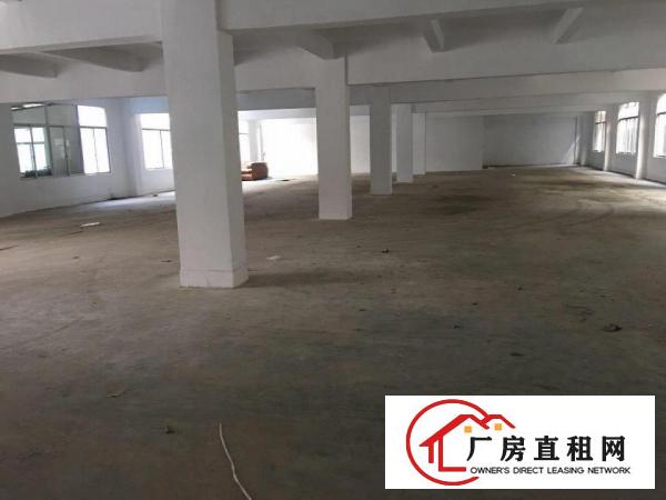
出租坪山新区周边大工业区坑梓镇500平左右超靓标准厂房