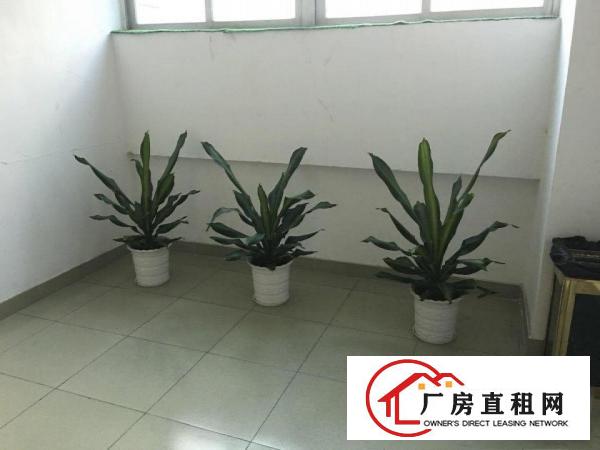 
出租坪山新区周边大工业区坑梓镇500平左右超靓标准厂房