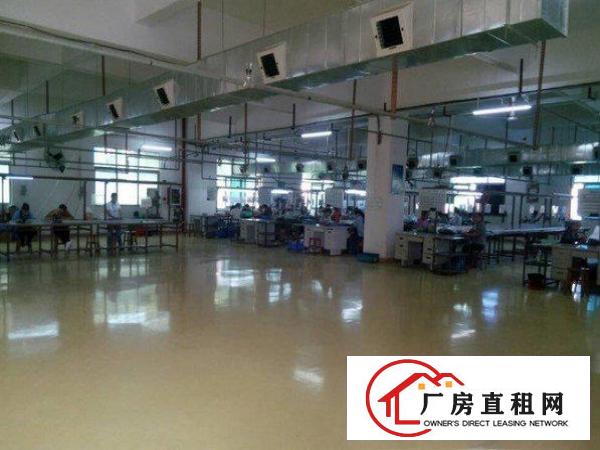 
横岗四联村标准厂房一楼830平带牛角层高六米