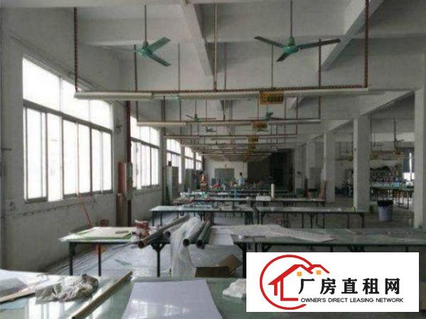 
横岗沙荷路独栋厂房2300平方空地大可分租