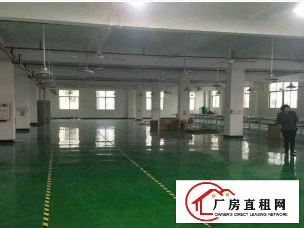 
横岗茂兴路原房东独门独院厂房2500平方带办公室装修