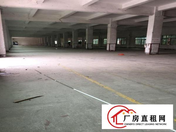 
横岗大康独院5000平方可分组带办公室装修地坪漆