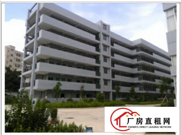 
独门独院，全新产业园一手房东招租