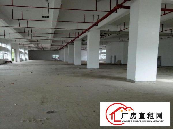 
独门独院，全新产业园一手房东招租