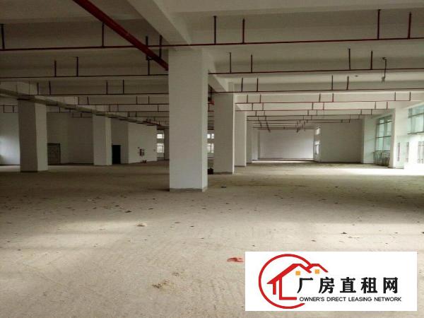 
独门独院，全新产业园一手房东招租