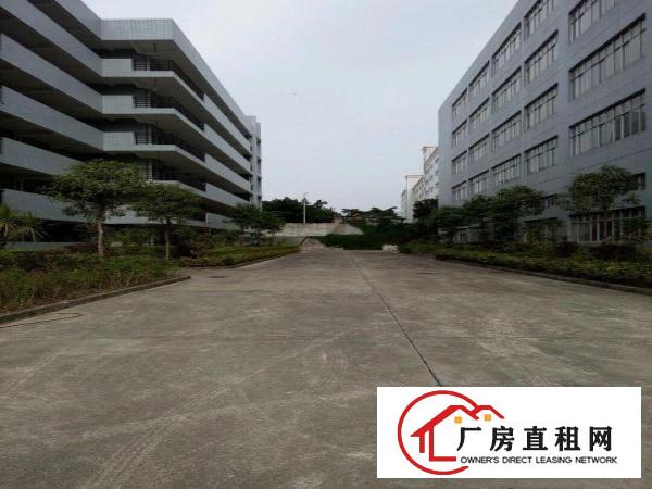 
独门独院，全新产业园一手房东招租